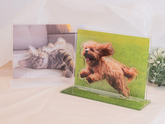 立体型スタンド