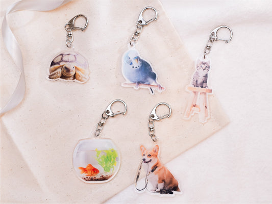 切り抜きキーホルダー